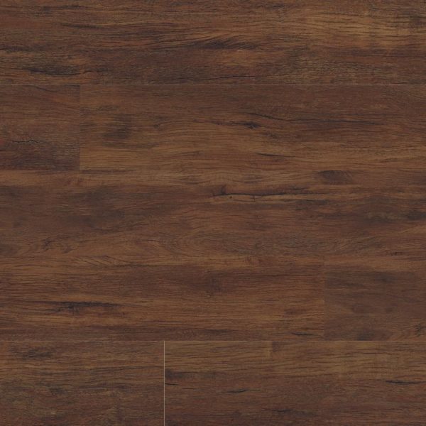 Everlife by MSI Rigid Core Prescott Vinyl Plank Braly