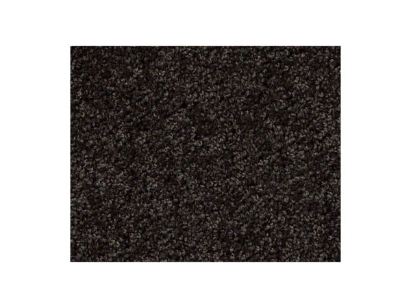 Shaw Carpet Anso Colorwall Gold Texture Buried Truffles
