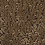 Mohawk Great Outdoors Burnished