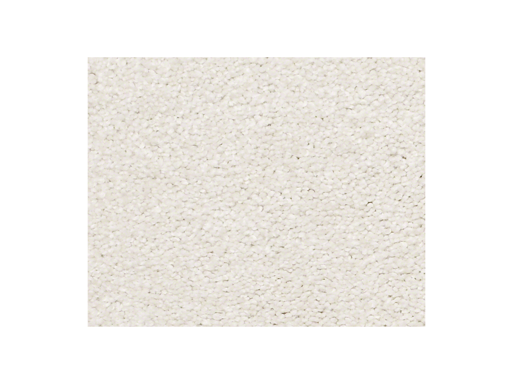 Shaw Carpet Anso Colorwall Find Your Comfort NS Blue Cake Frosting