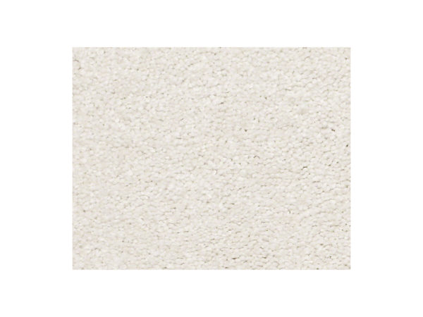 Shaw Carpet Anso Colorwall Find Your Comfort NS II Cake Frosting