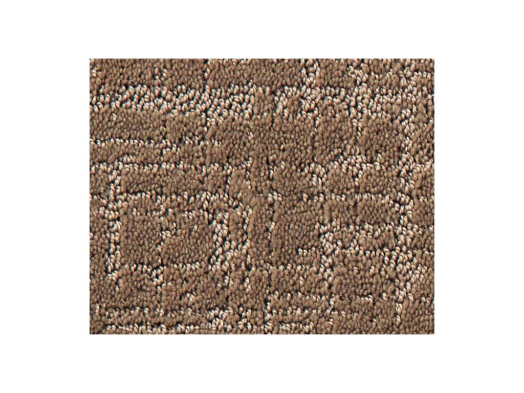 Shaw Carpet Anso Colorwall Creating Memories Camping Trip Discount Pricing