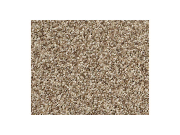 Shaw Carpet Anso Colorwall Find Your Comfort TT I Camping Trip