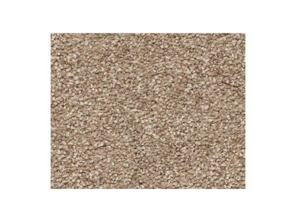 Shaw Carpet Anso Colorwall Find Your Comfort NS I Camping Trip