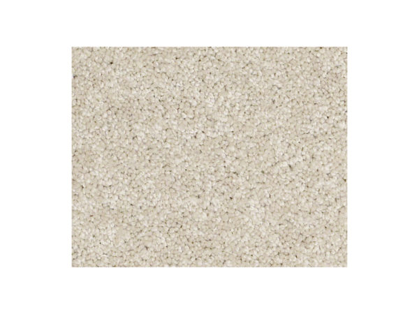 Shaw Carpet Anso Colorwall Titanium Texture Candlewick