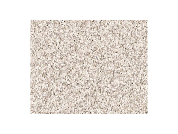 Shaw Carpet Anso Colorwall Titanium Colorwall Casa Blanca