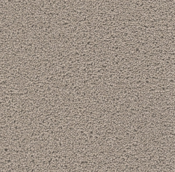 Dream Weaver Carpet Broadcast Plus Castle