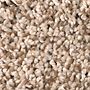 Mohawk Clear Dawn II Champagne Sparkle