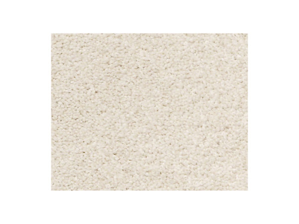 Shaw Carpet Anso Colorwall Find Your Comfort NS Blue Champagne Toast