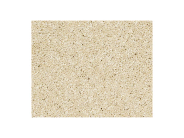 Shaw Carpet Anso Colorwall Gold Texture Chenille Soft