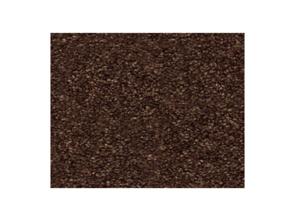 Shaw Carpet Anso Colorwall Find Your Comfort NS Blue Chocolate Treat