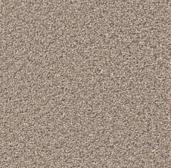 Dream Weaver Carpet Broadcast Plus Cinder