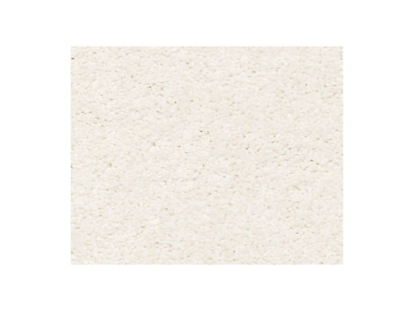 Shaw Carpet Anso Colorwall Find Your Comfort NS I Clean Linen