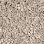 Mohawk Alluring Ambition Cobble Path