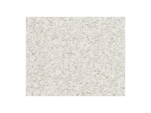 Shaw Carpet Anso Colorwall Find Your Comfort TT Blue Coming Home