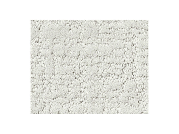 Shaw Carpet Anso Colorwall Creating Memories Coming Home