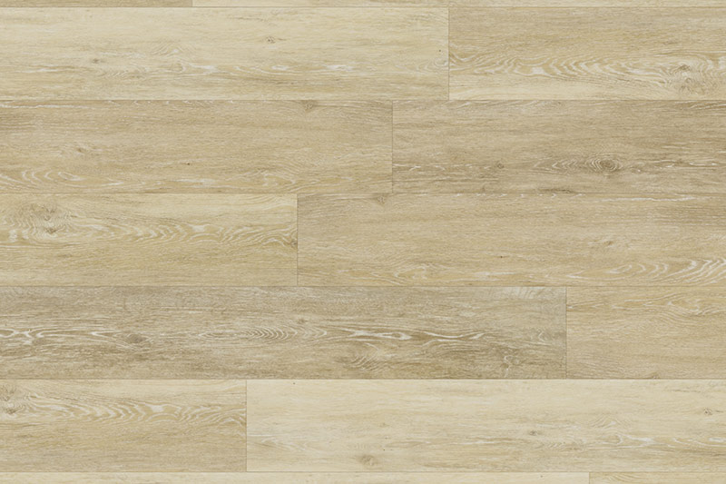 coquina-swatch