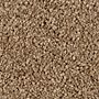 Mohawk Delicate Appeal Deep Auburn