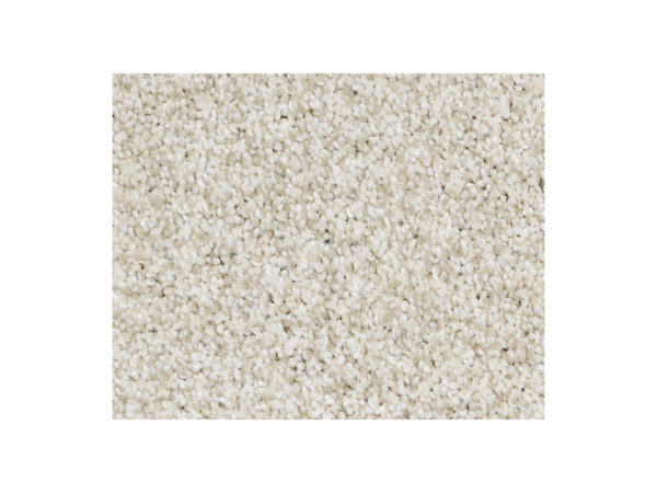 Shaw Carpet Anso Colorwall Platinum Texture Tonal Denali
