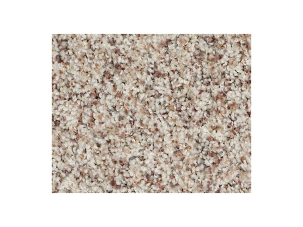 Shaw Carpet Anso Colorwall Titanium Accent Denali Twist