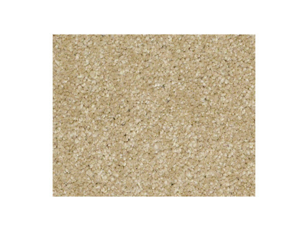 Shaw Carpet Anso Colorwall Silver Texture 