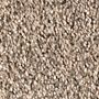 Mohawk Rustic Splendor Desert Scene