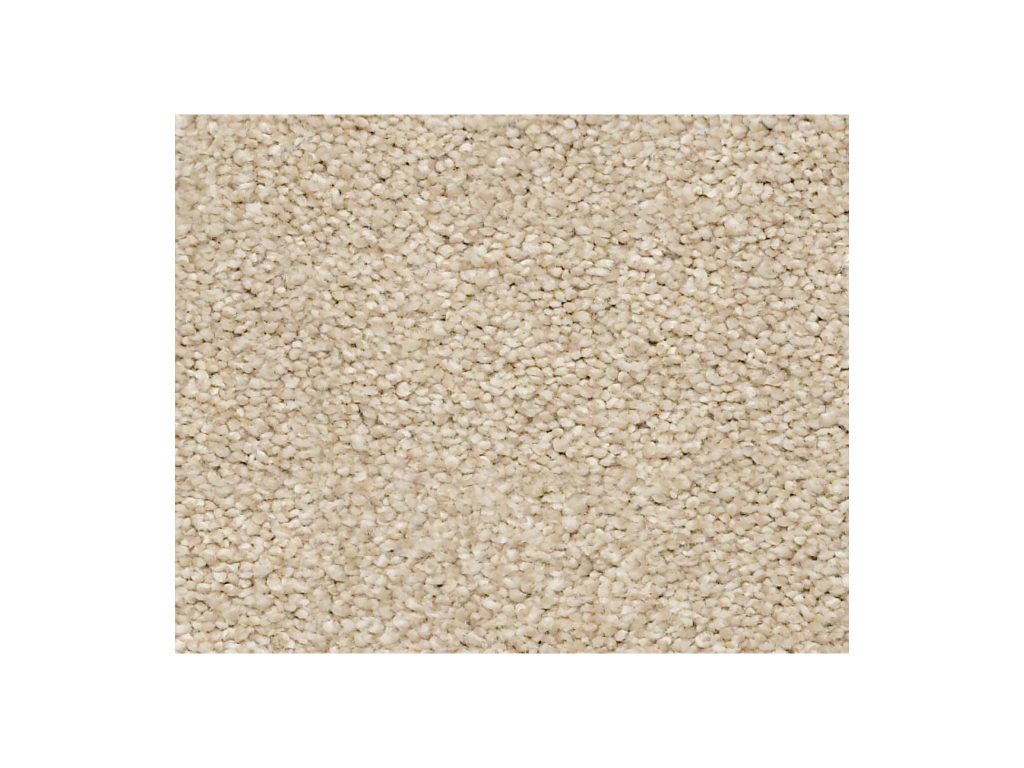 Shaw Carpet Anso Colorwall Find Your Comfort NS Blue Dinner With