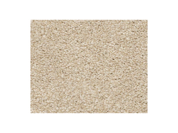 Shaw Carpet Anso Colorwall Find Your Comfort NS I Dinner With Friends