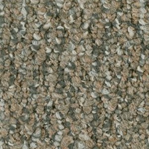 Shaw Carpet Direct Link 16502 Direct Access