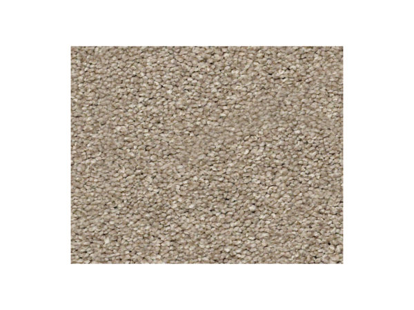 Shaw Carpet Anso Colorwall Find Your Comfort NS I Dockside View