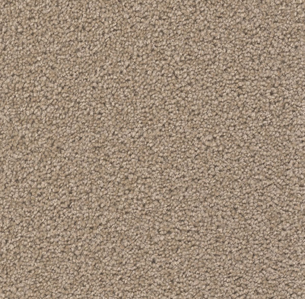 Dream Weaver Carpet Broadcast Plus Doeskin