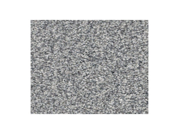 Shaw Carpet Anso Colorwall Find Your Comfort TT I Dolphin Sighting