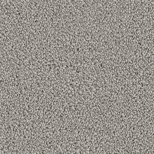 Dream Weaver Carpet Boca Dovetail