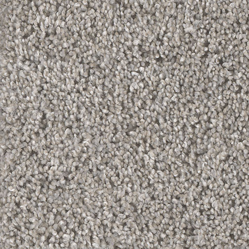 Dream Weaver Carpet Casual Comfort I Downy Soft