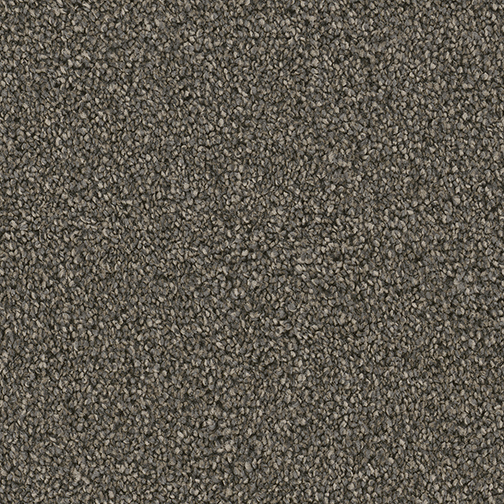 Dream Weaver Carpet Boca Dramatic