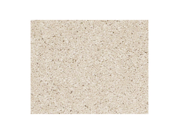 Shaw Carpet Anso Colorwall Titanium Texture Dunes