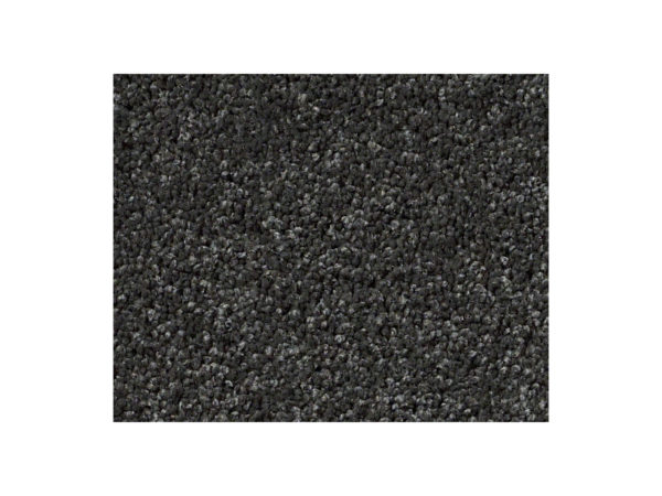 Shaw Carpet Anso Colorwall Platinum Twist Edinburgh Castle
