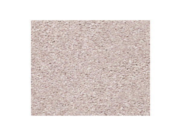 Shaw Carpet Anso Colorwall Find Your Comfort NS II Evening In Paris