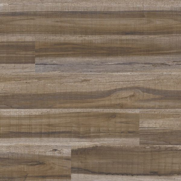 Everlife by MSI Rigid Core Cyrus Vinyl Plank Exotika