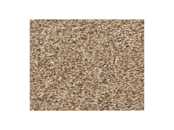 Shaw Carpet Anso Colorwall Find Your Comfort TT I Falling Leaves