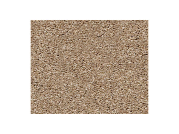 Shaw Carpet Anso Colorwall Find Your Comfort NS I Falling Leaves