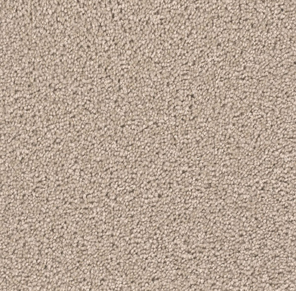 Dream Weaver Carpet Broadcast Plus Flax Beige
