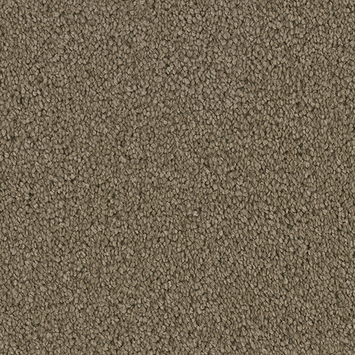 Dream Weaver Carpet Boca Framing