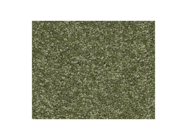 Shaw Carpet Anso Colorwall Platinum Twist French Quarter