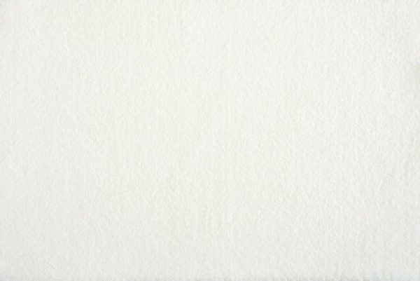 Stanton Carpet Muse Frost