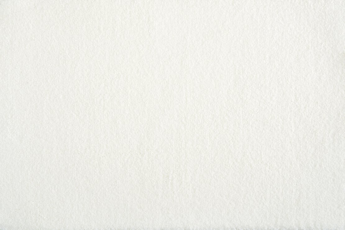 Stanton Carpet Muse Frost