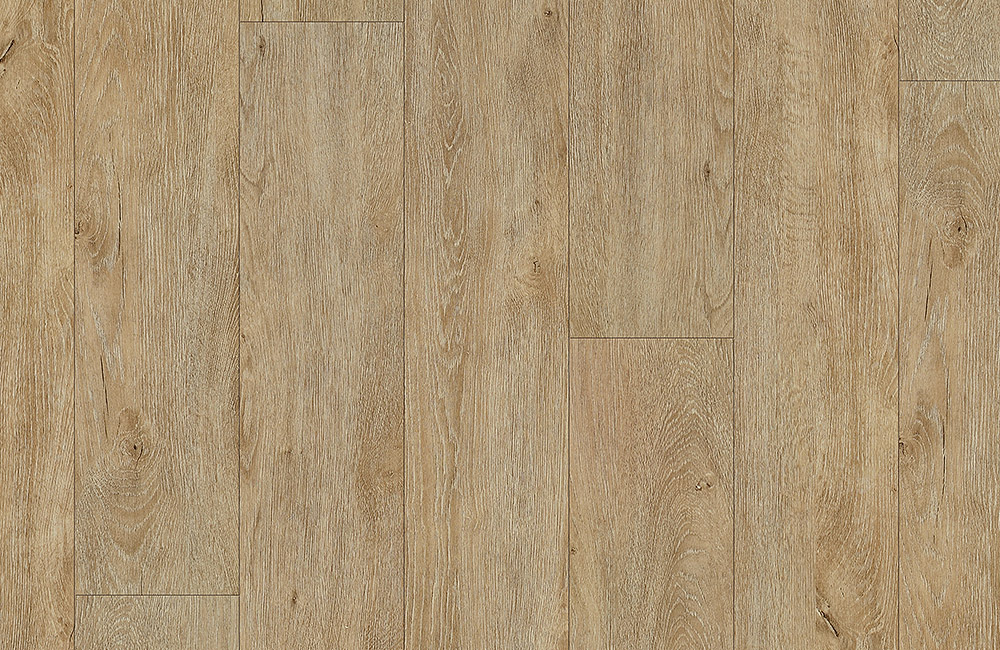 Fusion Max Plank Latour