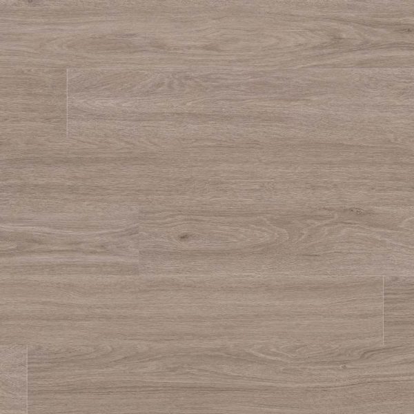 everlife msi glenridge bleached elm