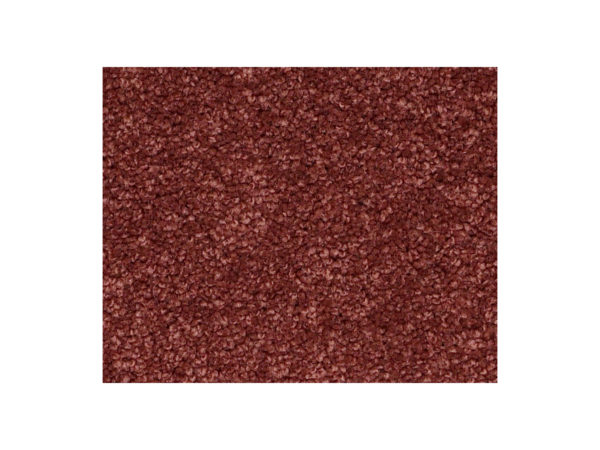 Shaw Carpet Anso Colorwall Platinum Twist Grand Central