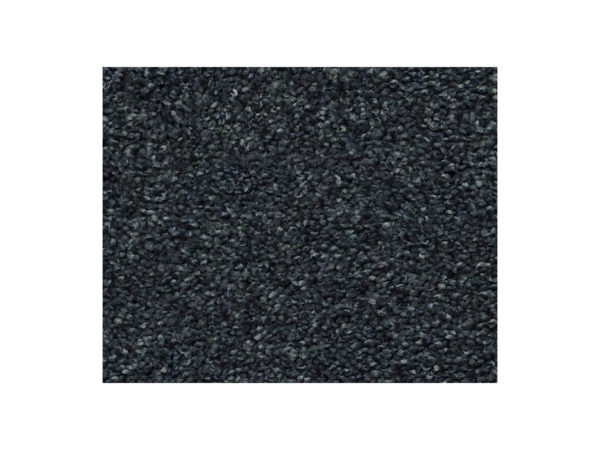 Shaw Carpet Anso Colorwall Find Your Comfort NS Blue Hanging Vine